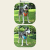 Dog Harness Vest Adjustable Reflective Breathable