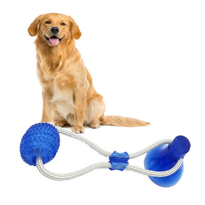 Dog Cats Dogs Interactive Suction Cup